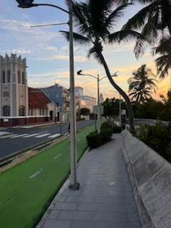 Tropical coastal walkway